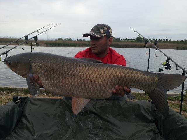 Tancabesti 9 - 10 mai 2014 - 20140510095145.jpg